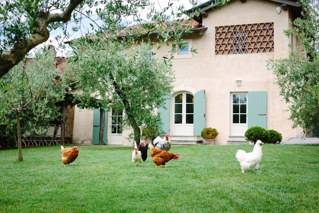 Agriturismo Mareli Villa กาไมโยเร ภายนอก รูปภาพ